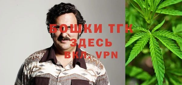 сатива Тавда