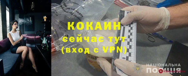 сатива Тавда