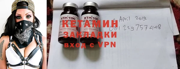 сатива Горняк