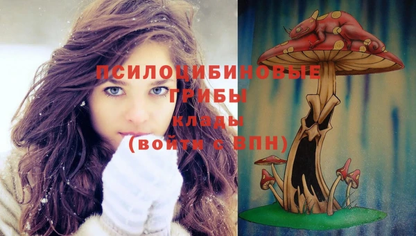 хмурый Горно-Алтайск