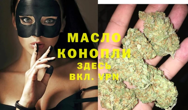 сатива Горняк