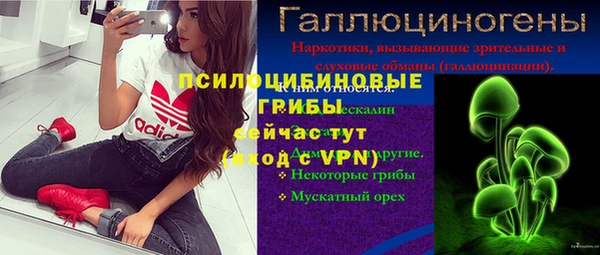стаф Сясьстрой
