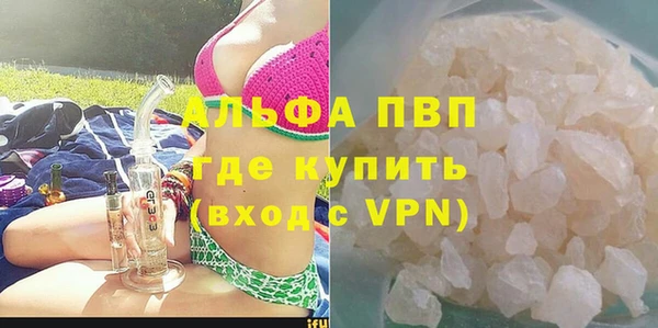 сатива Тавда