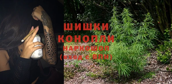 сатива Горняк