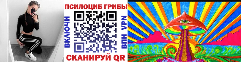 kraken маркетплейс  наркотики  Гудермес  Псилоцибиновые грибы мухоморы 