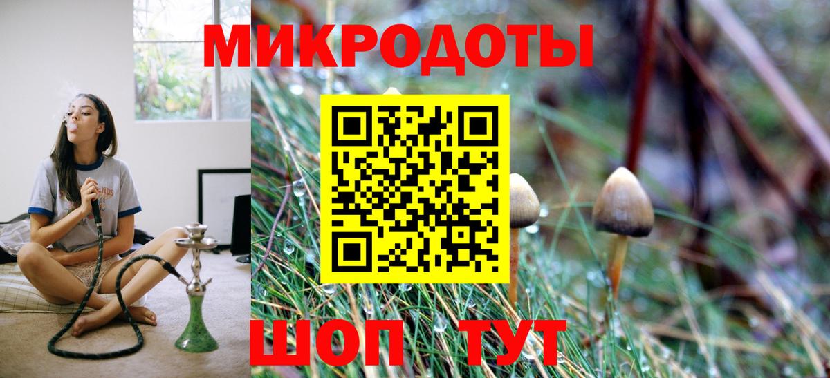 Псилоцибиновые грибы Гудермес