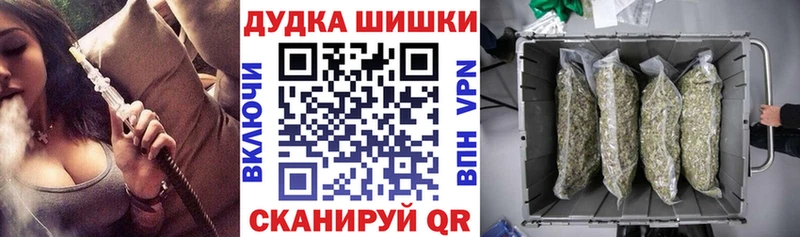 блэк спрут Гудермес Конопля планчик